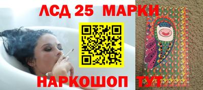 твердый Будённовск