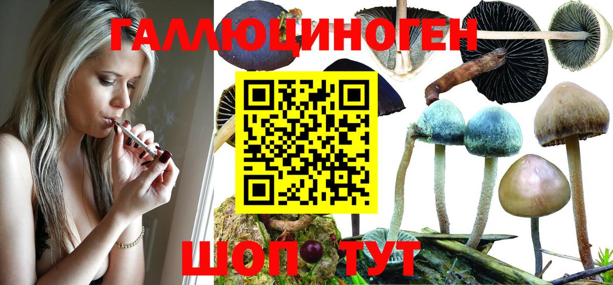 Коркино  Псилоцибиновые грибы ЛСД  Псилоцибиновые грибы GOLDEN TEACHER  Вход с VPN 